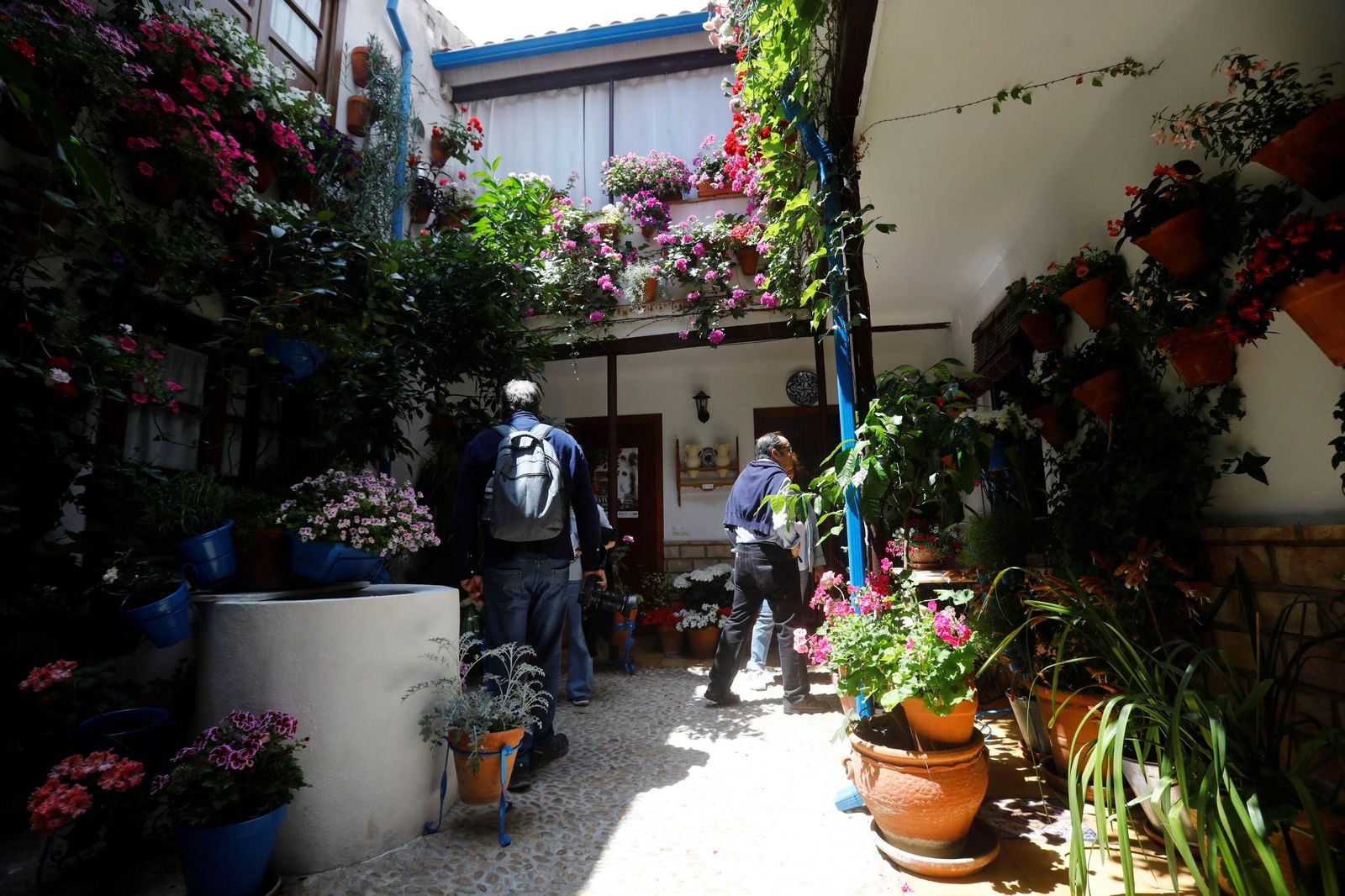 Un recorrido en imágenes por los patios de la ruta Regina-Realejo