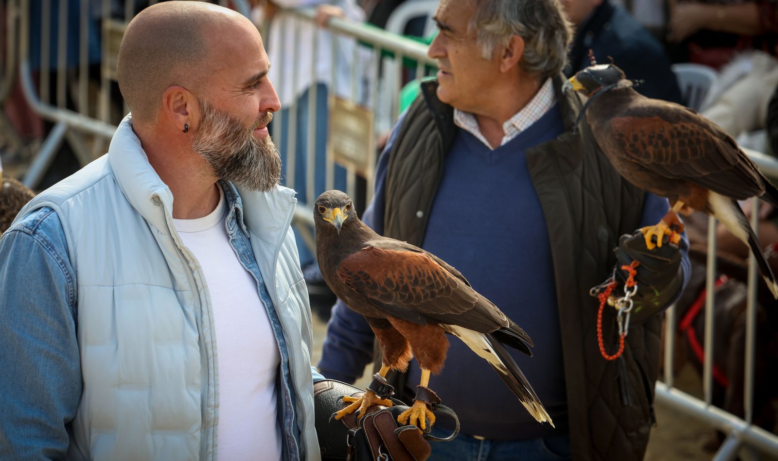 Fiesta de san Antón 2024 en Jerez
