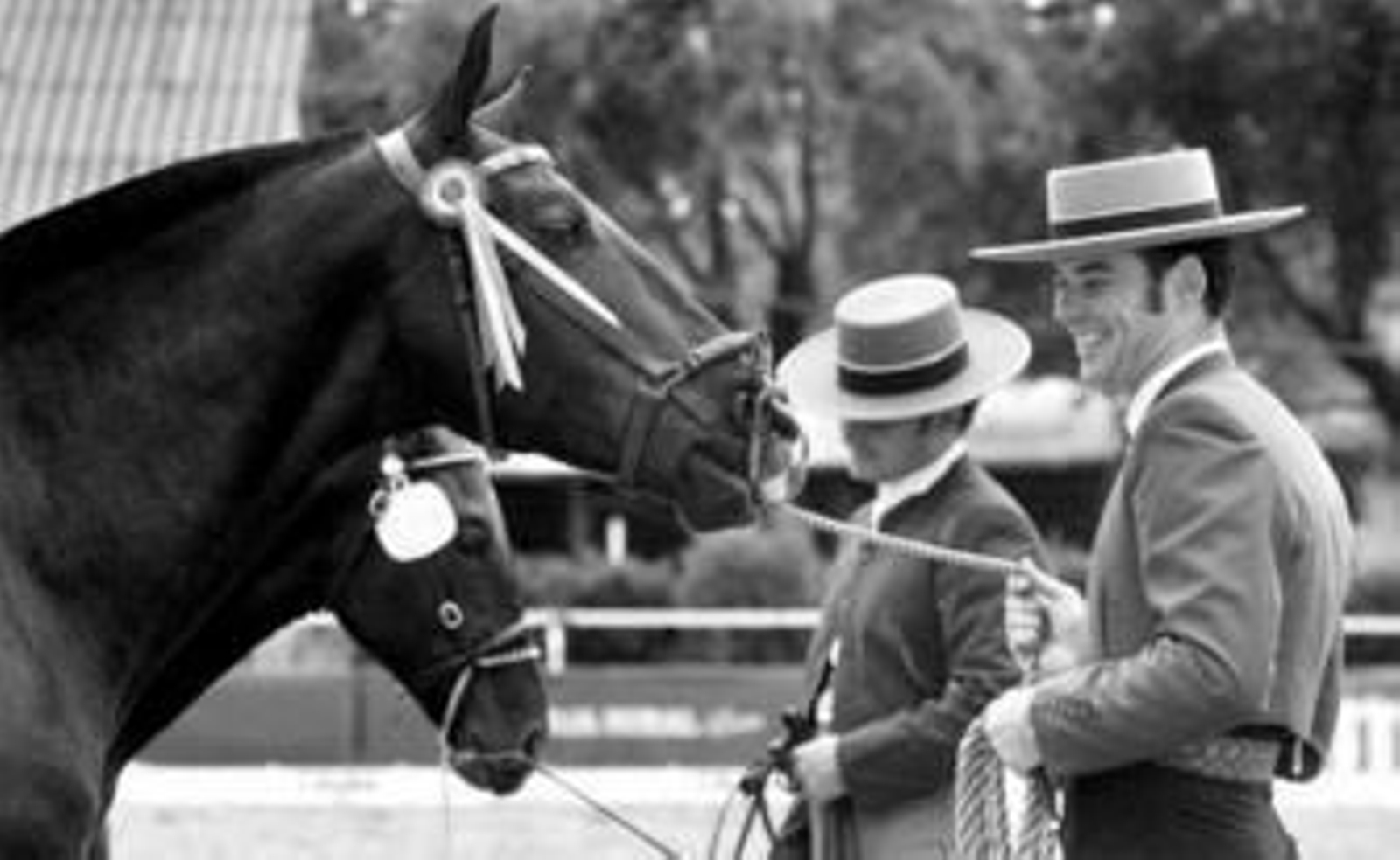 Dos caballos en los patios exteriores de Caballerizas Reales.