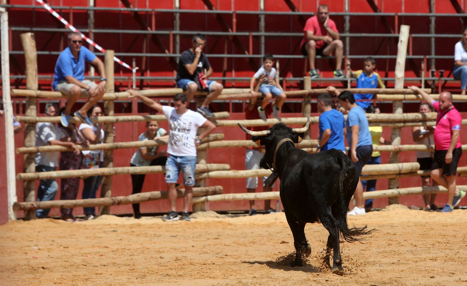 Capeas de Trigueros en imágenes
