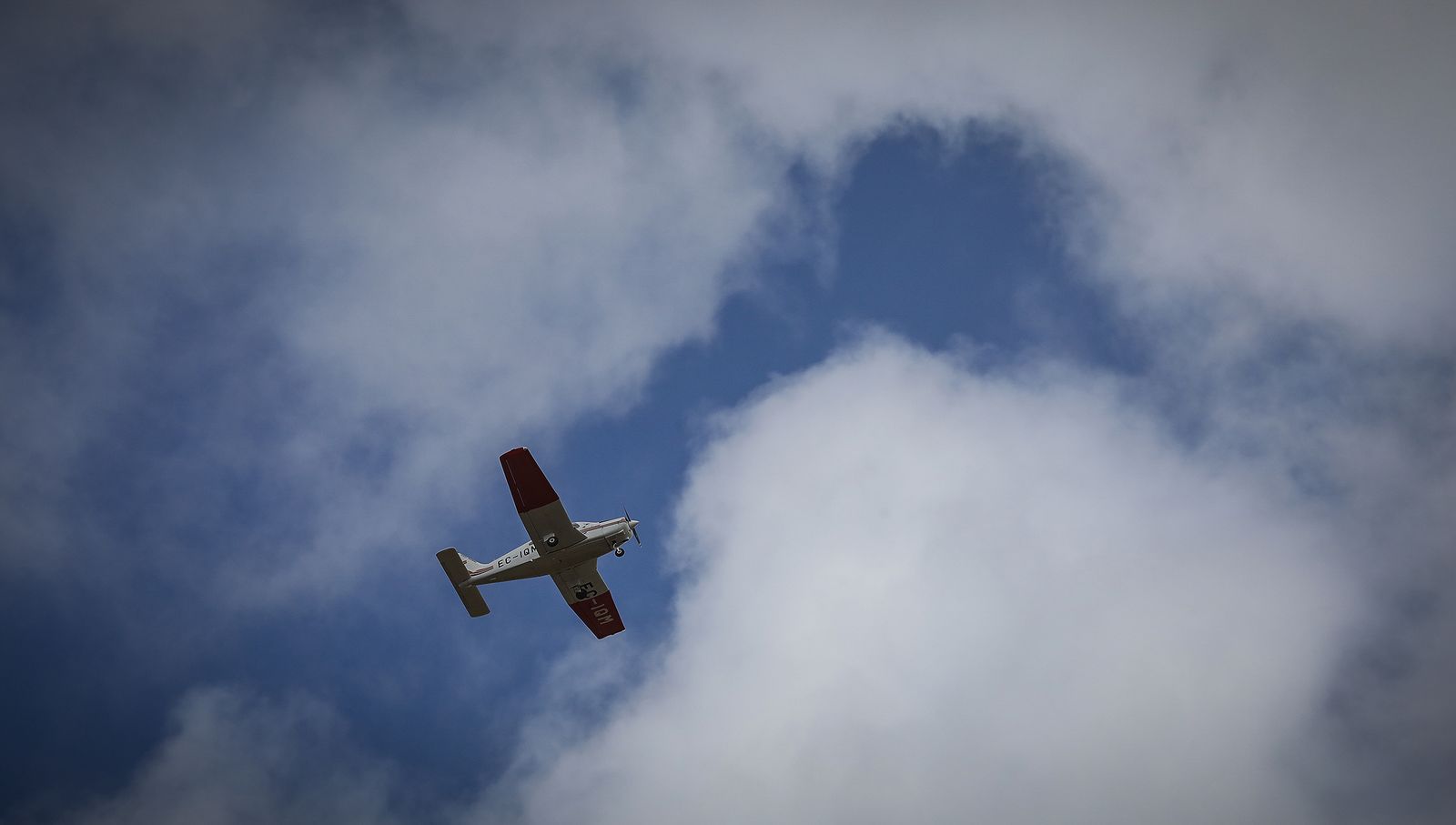Coronavirus, imágenes del lunes 8 de junio en Jerez