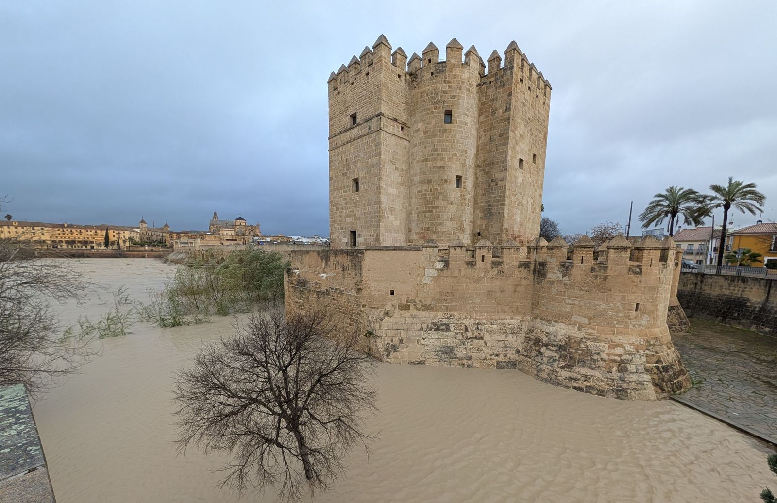El río Guadalquivir supera los cuatro metros de altura a su paso por Córdoba, en imágenes