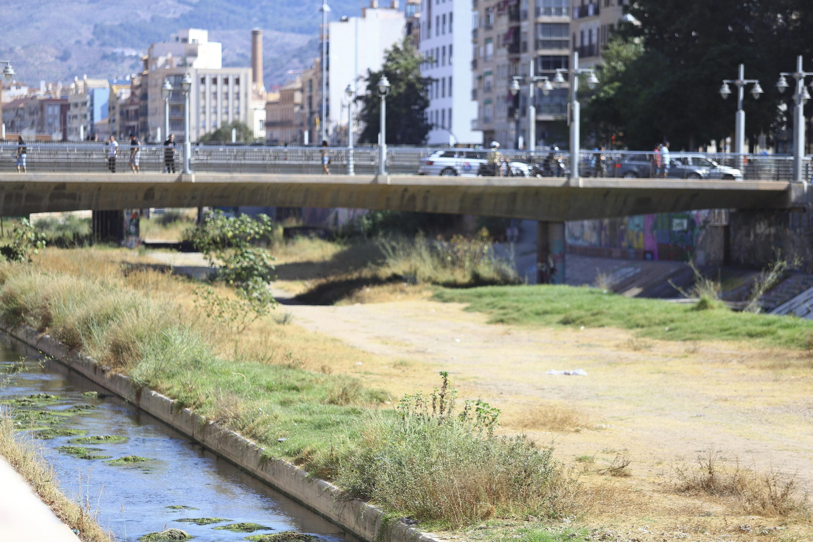 Parte baja del Río Guadalmedina.