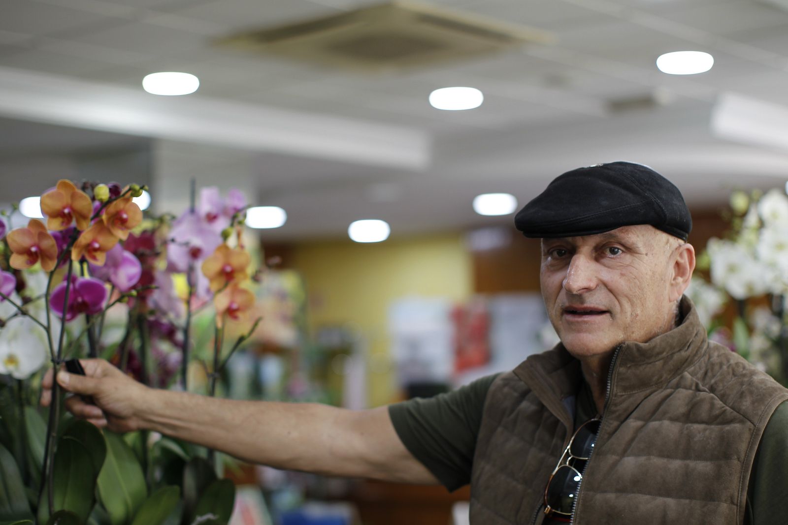 Fotogalería plantas para el Día de la Madre en Suministros Tripiana