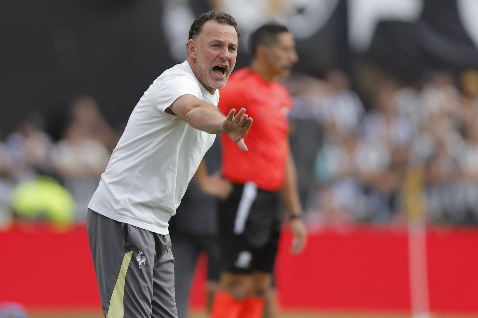 Las fotos de una final de la Libertadores histórica; Botafogo, campeón con 10, ante Atlético Mineiro