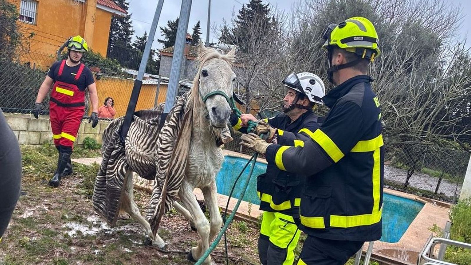 Un momento del rescate del caballo tras caer a la piscina.