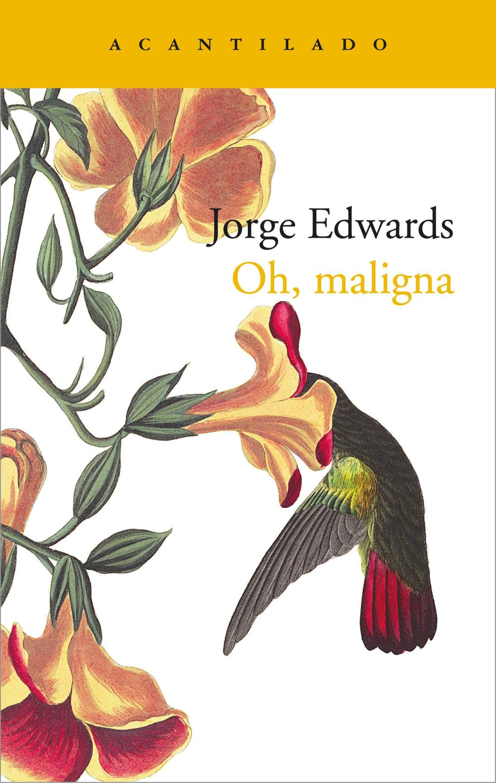 Portada del libro.