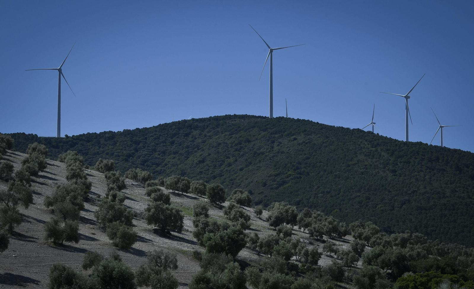 La resistencia en los pueblos de Sevilla al Coronavirus: Aguadulce