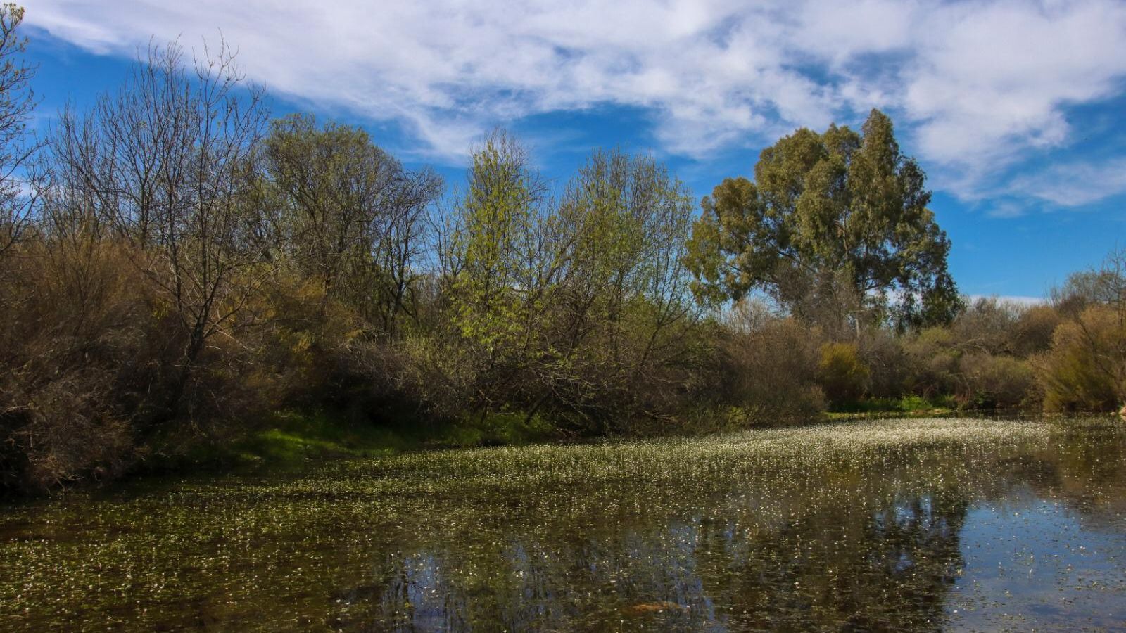 El río Guadalmez, en Conquista.