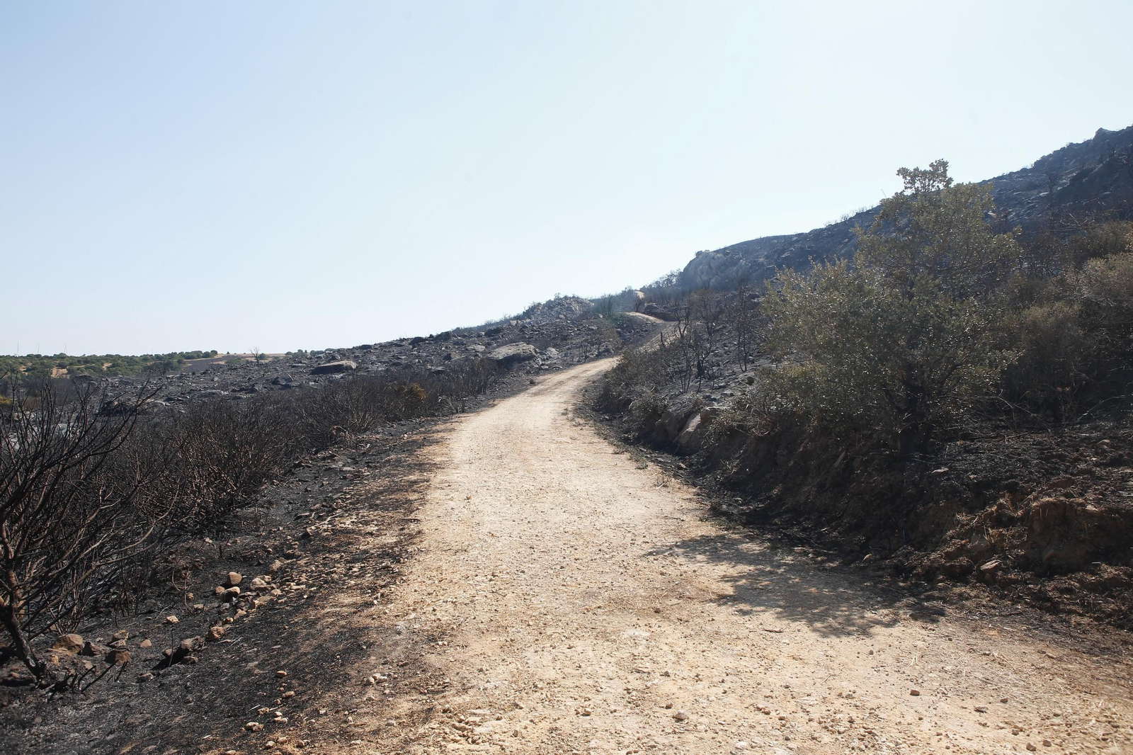 Las fotos de los efectos del incendio forestal en la Sierra de la Plata y Atlanterra, en Tarifa