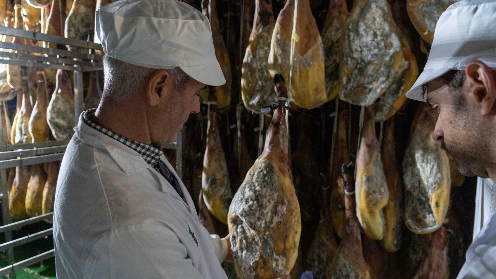 Uno de los jamones durante el proceso de curación.