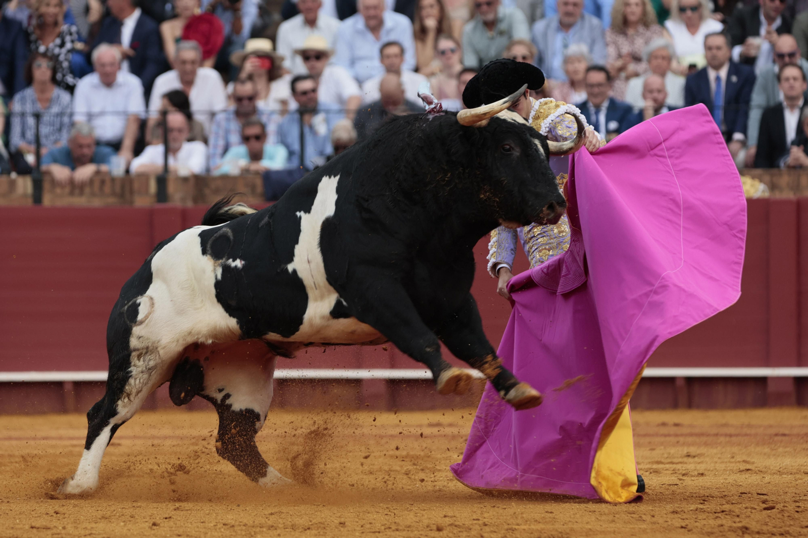 Las imágenes del festejo