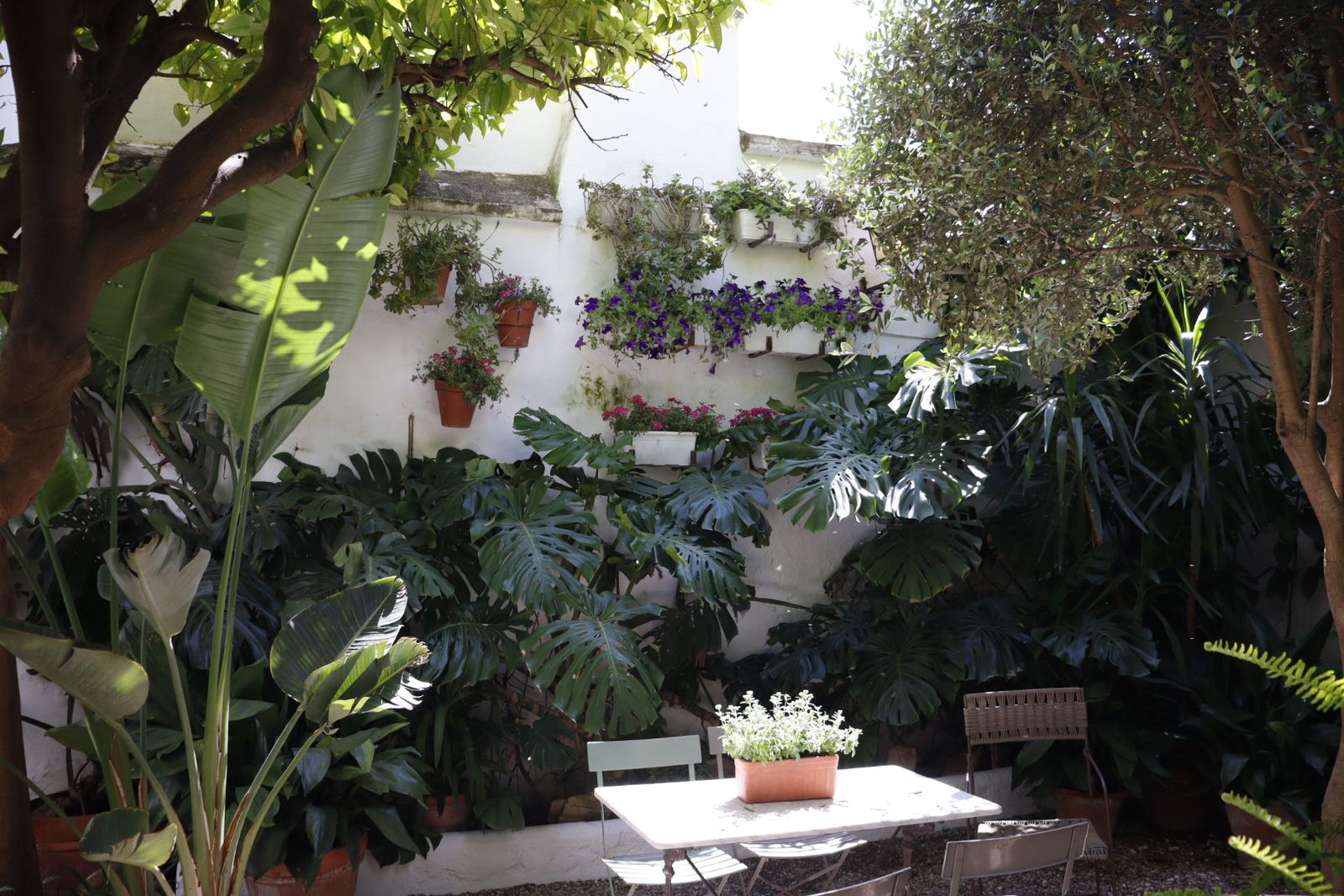 Ruta de los patios de San Lorenzo