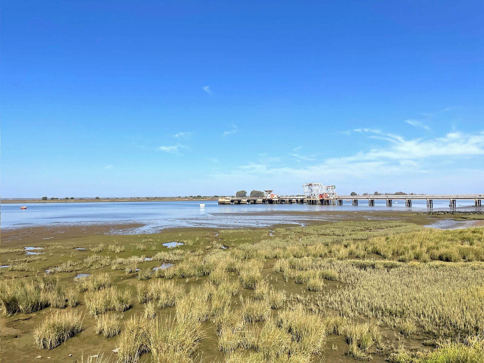 Punto en el que se ha realizado el estudio en Marismas del Odiel.