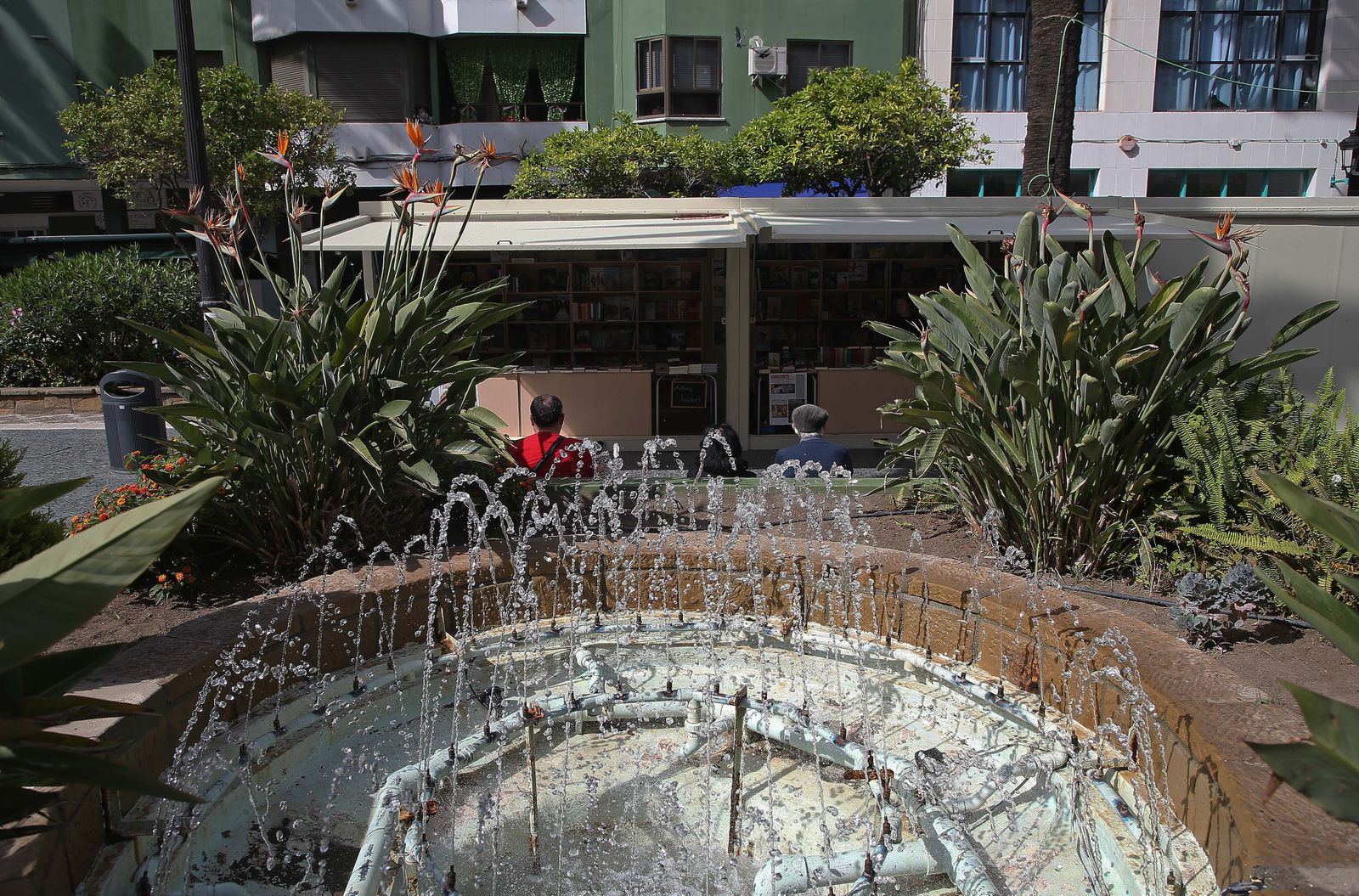 Fotos de la Feria del Libro de La Línea