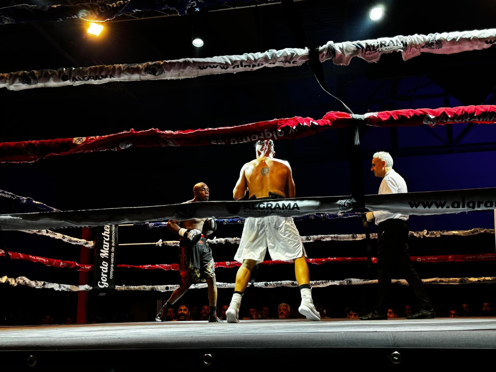 El boxeo enamora en una velada histórica en Jaén, en imágenes