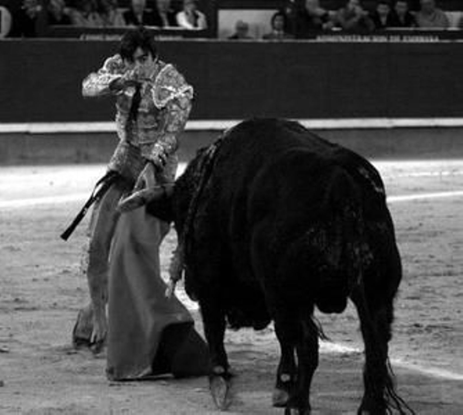 Perera entrando a matar al toro de Valdefresno después de recibir la grave cornada en el muslo derecho.
