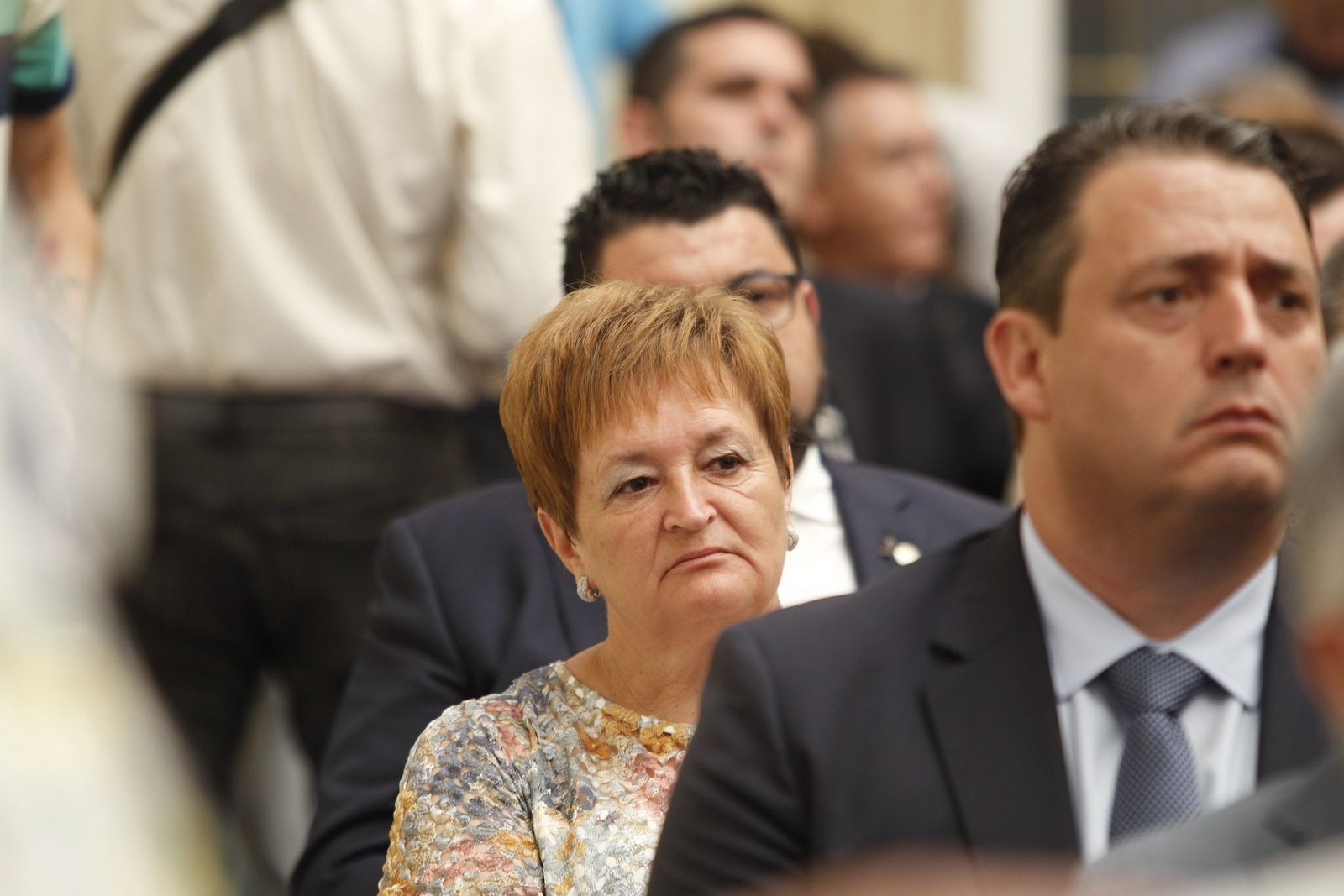 Pleno investidura Presidente Diputación de Almería. Javier Aureliano García