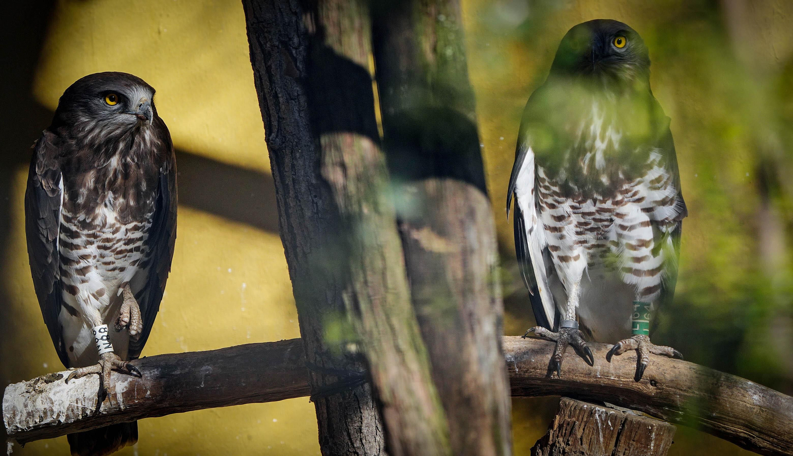 La especial mirada de los animales del Zoo de Jerez