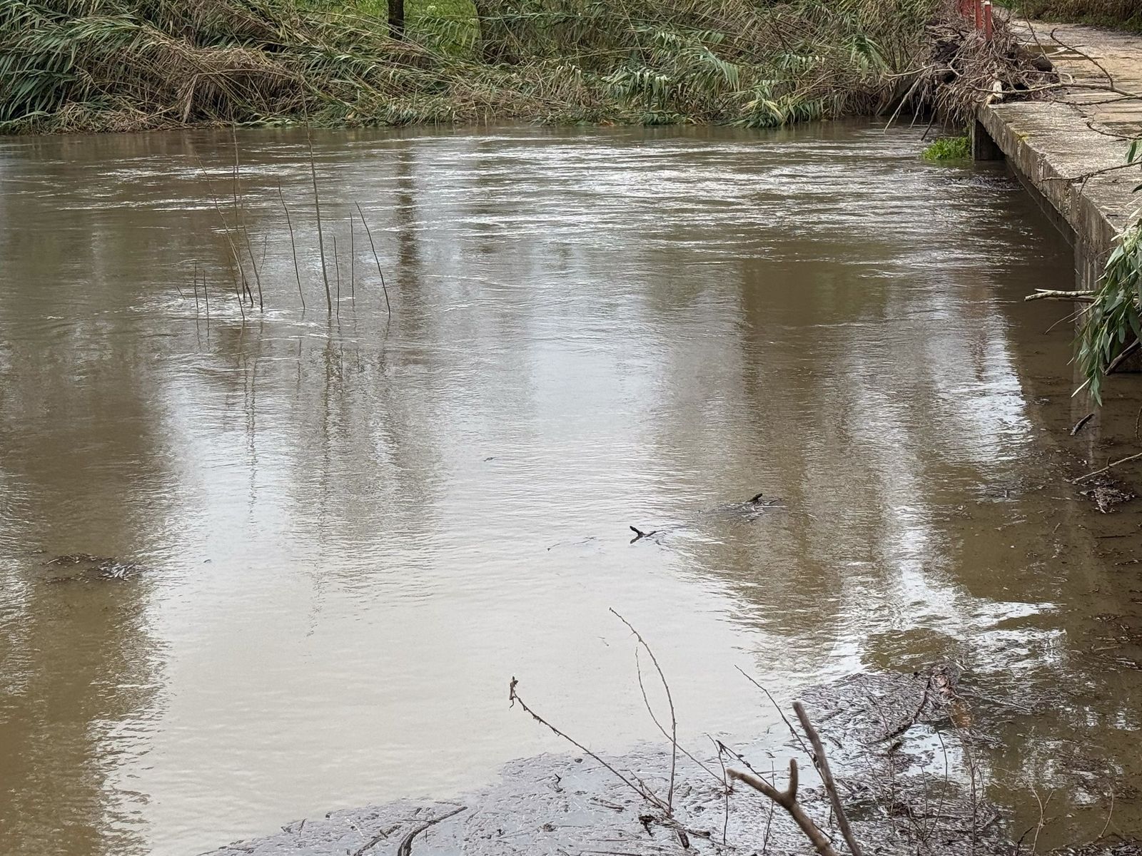 Las fotos del desembalse de agua en la presa de Charco Redondo de Los Barrios
