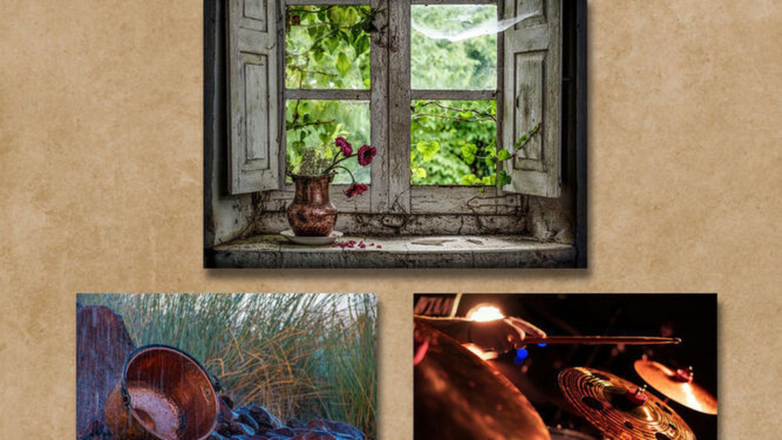 Imágenes galardonadas en la edición pasada del concurso