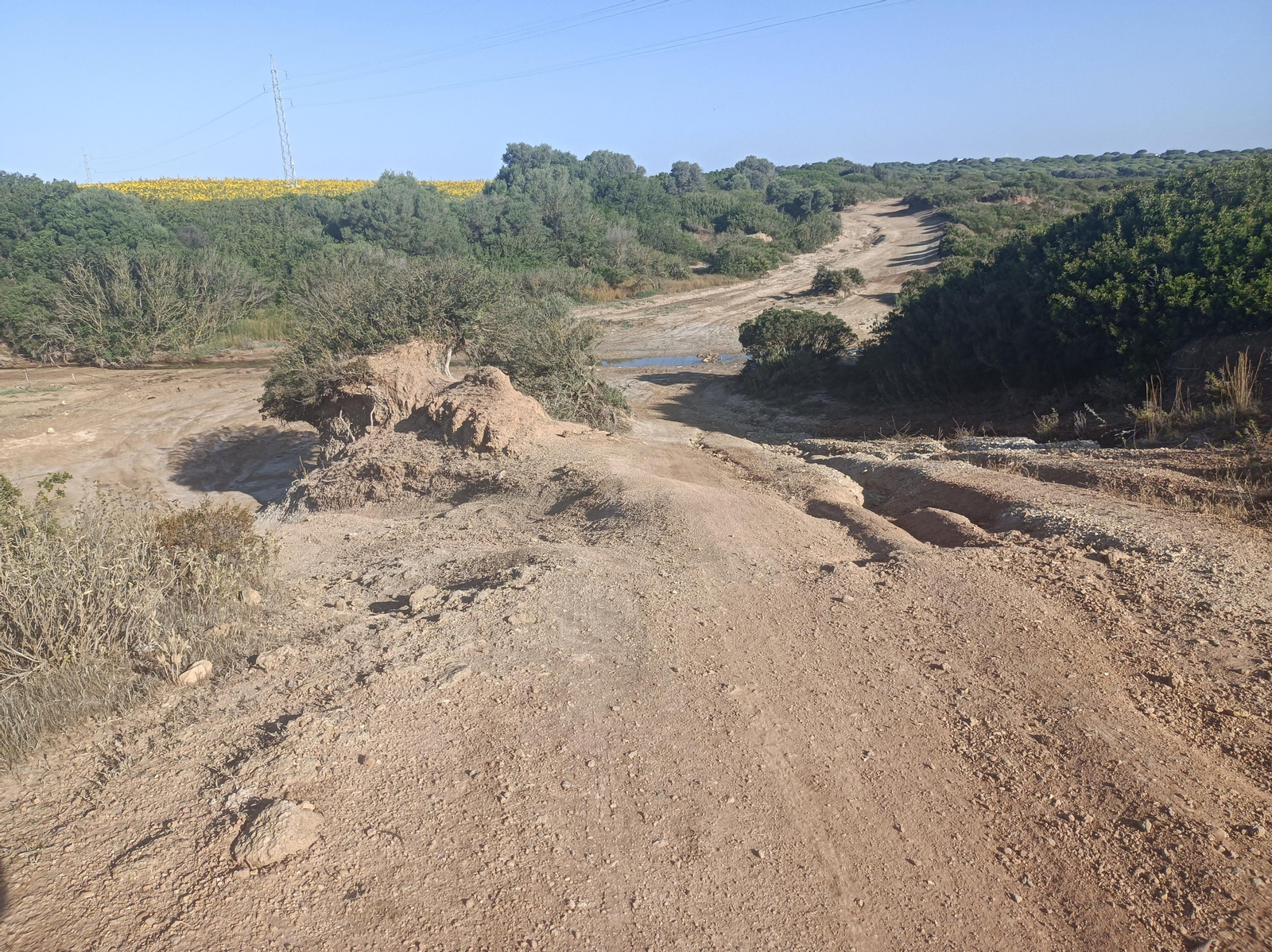 Pasaremos por muchos toboganes: zonas rápidas con muchas curvas.