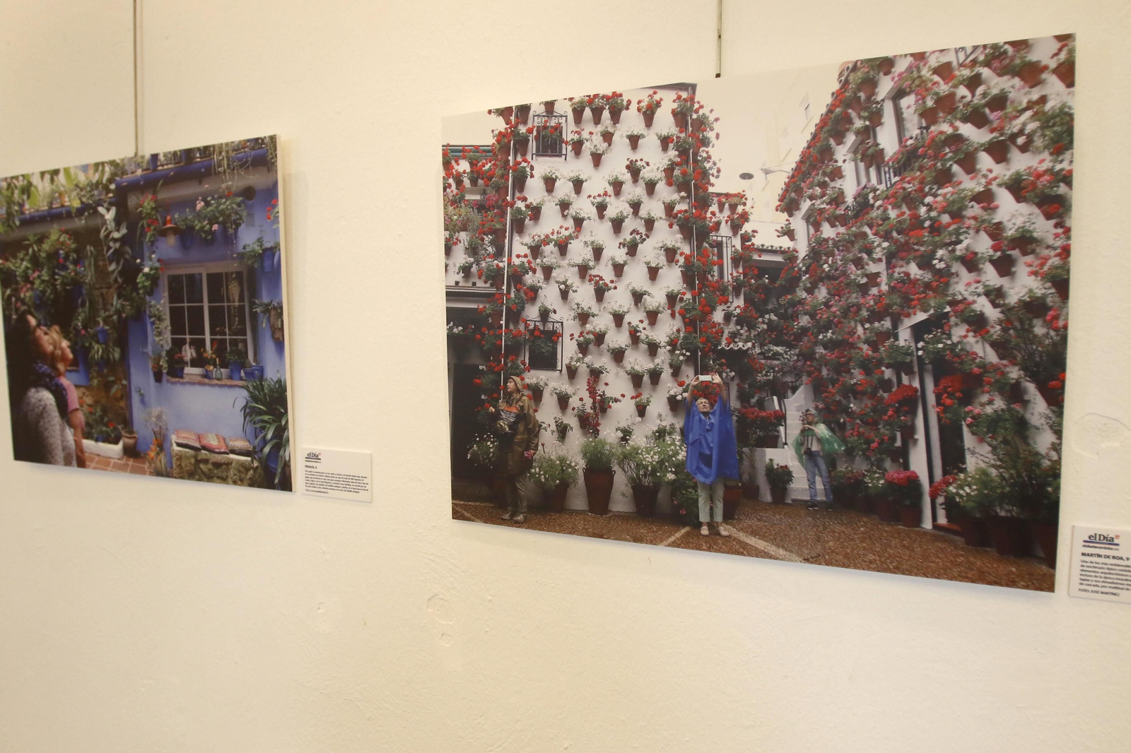 Fotografías de la exposición '20 años con los patios de Córdoba y su provincia'