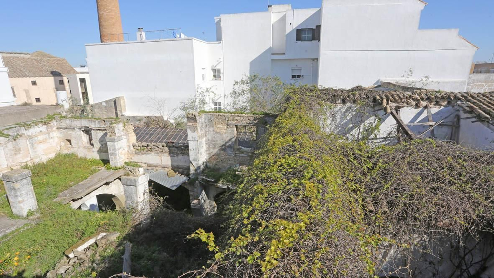 Aspecto que presenta en la actualidad el interior del solar abandonado.