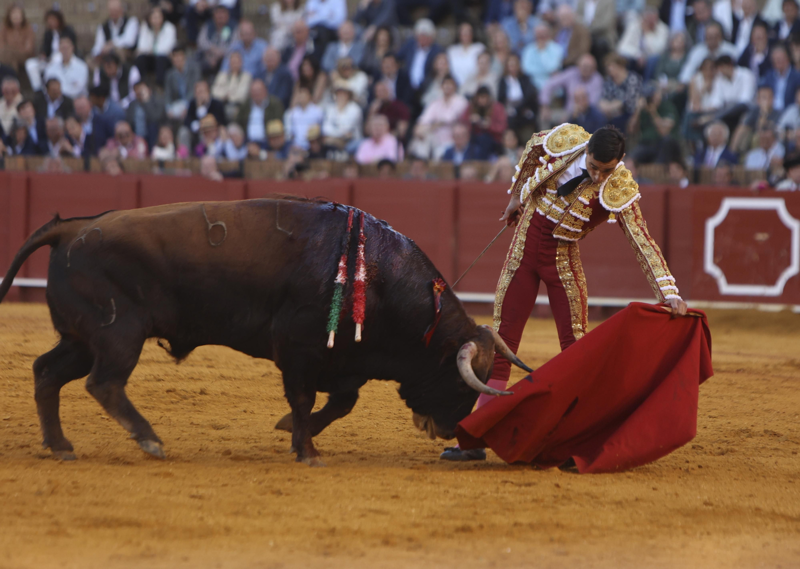 Las mejores fotos de la corrida de toros de Miguel Ángel Perera, Paco Ureña y Borja Jiménez