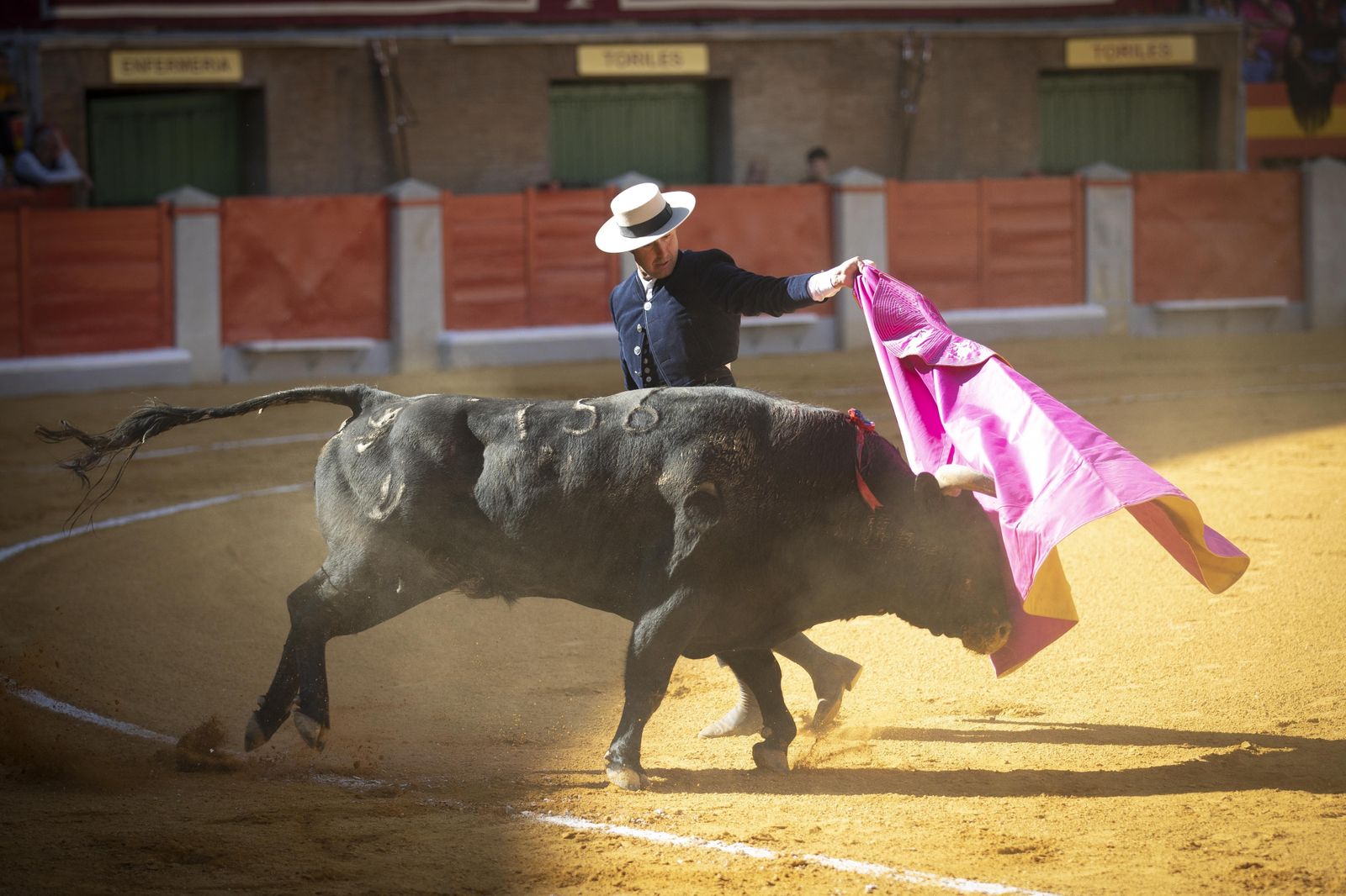 Las mejores imágenes del Festival Taurino en beneficio de Granadadown