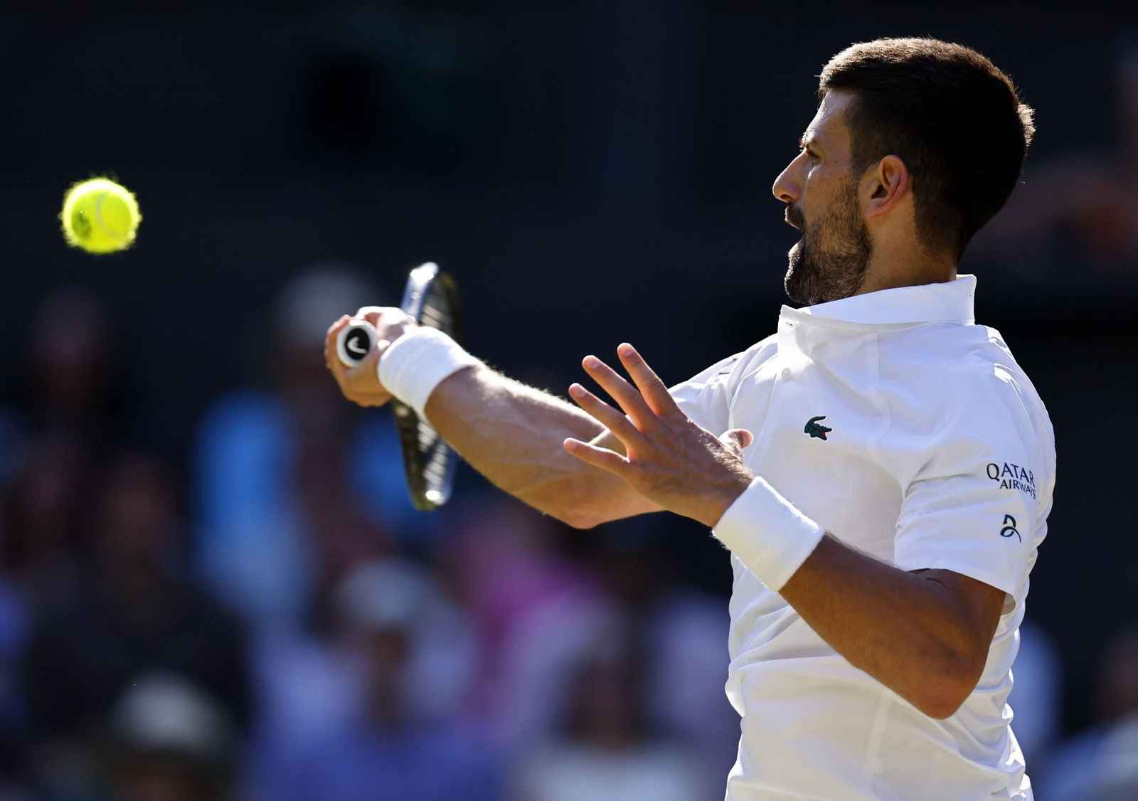 Las mejores imágenes del Sinner - Djokovic Las mejores imágenes del Sinner - Djokovic