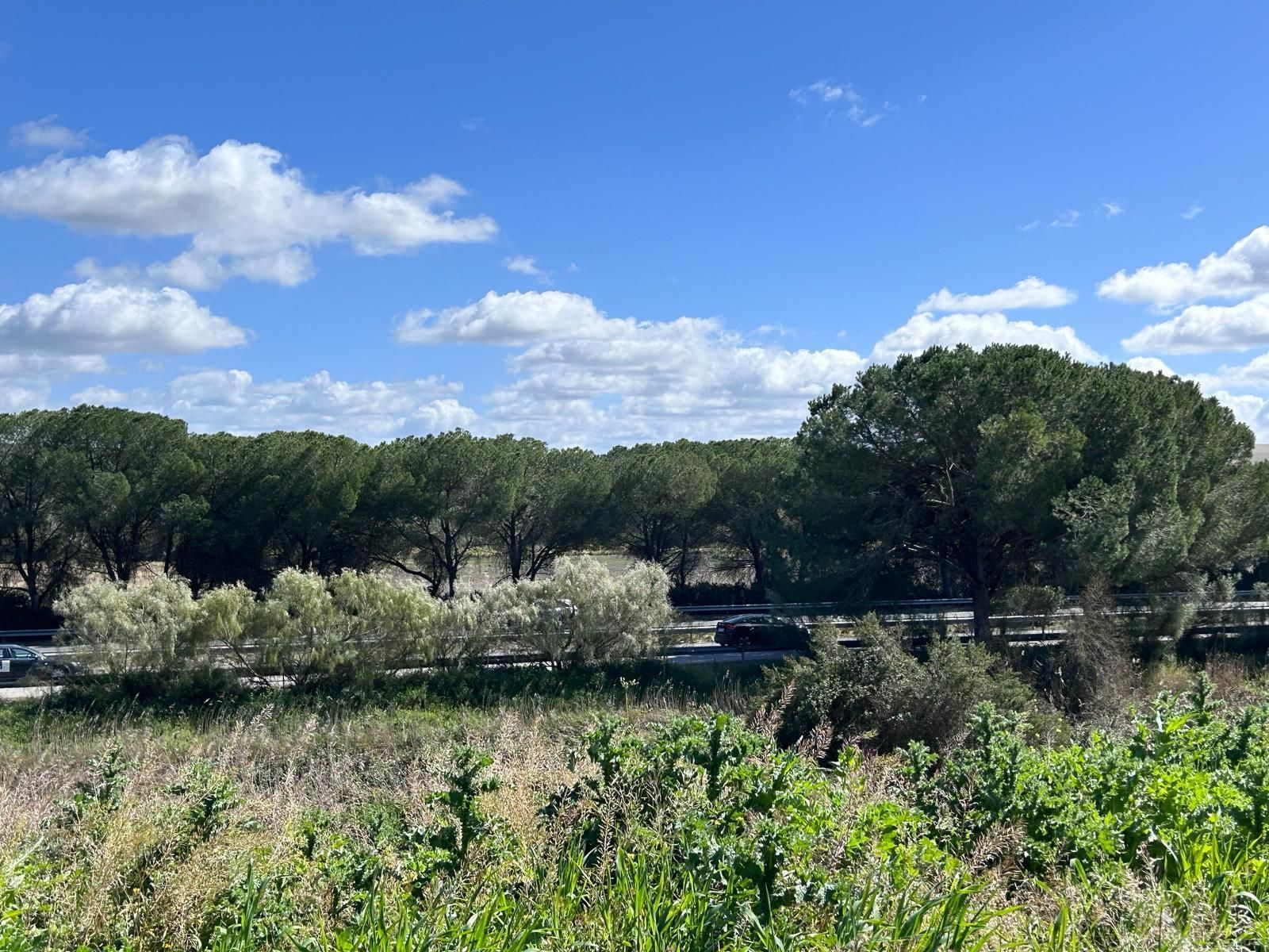 Sendero a las afueras de Jerez imperdible: una venta que da la bienvenida y culmina en una laguna