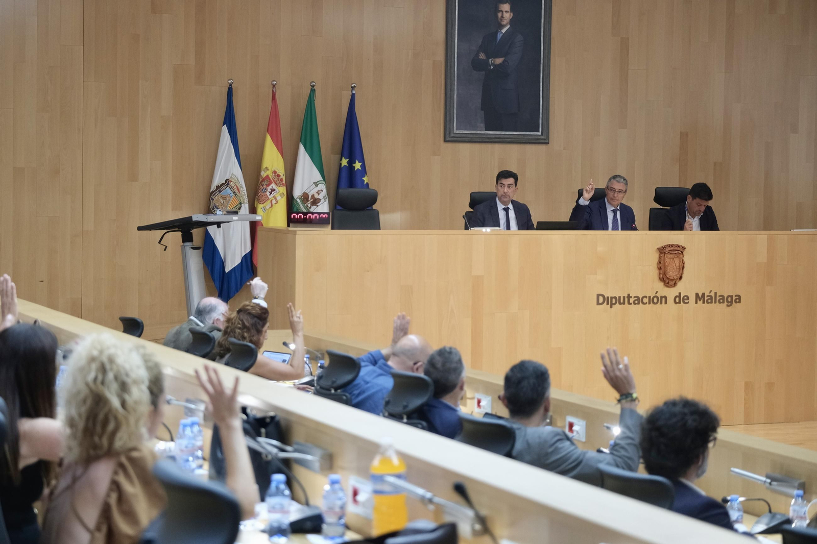 Pleno extraordinario de la Diputación de Málaga