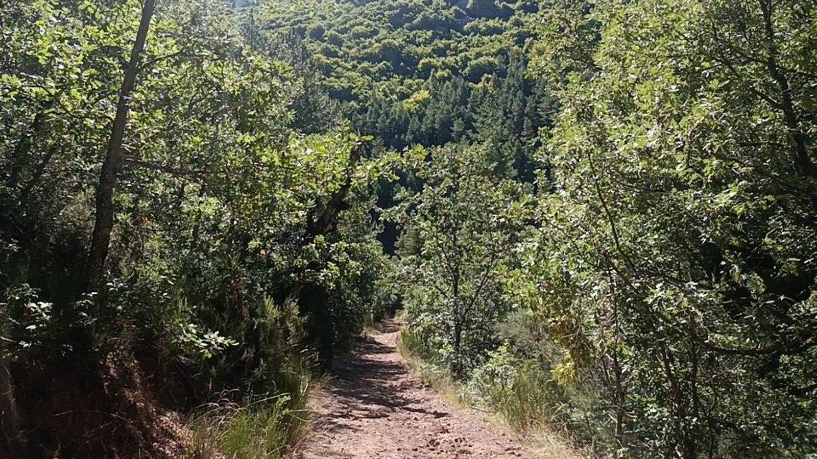 La bajada a Cistierna tiene algunos tramos inclinados.