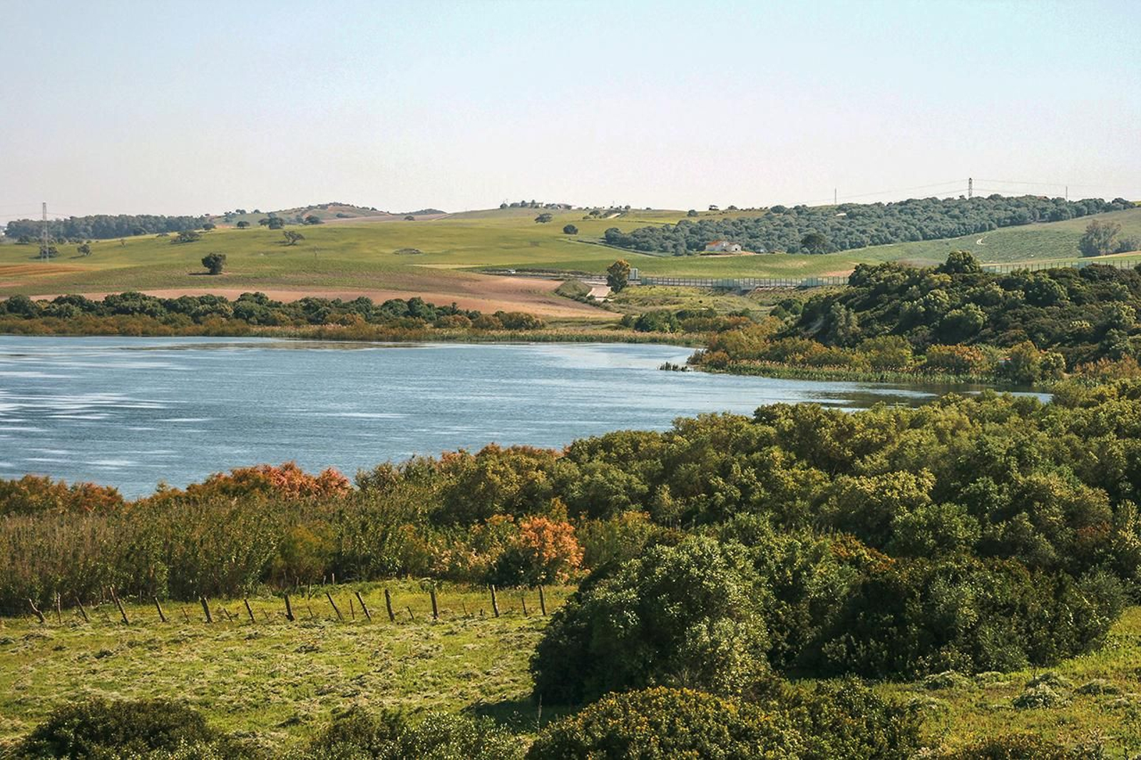 Laguna de los Tollos Laguna de los Tollos