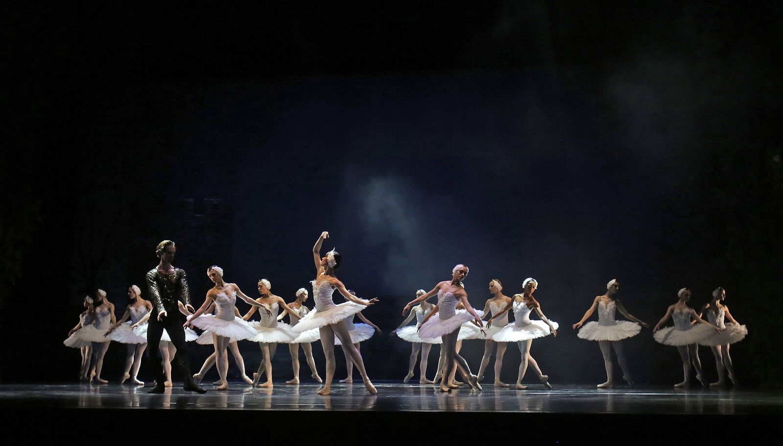 EL LAGO DE LOS CISNES