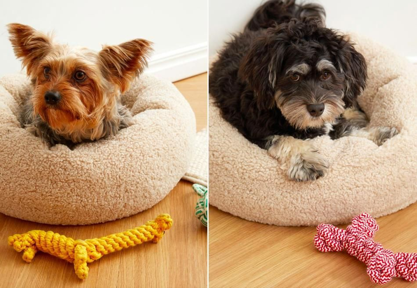 H&M tiene los regalos más originales para tu mascota esta Navidad