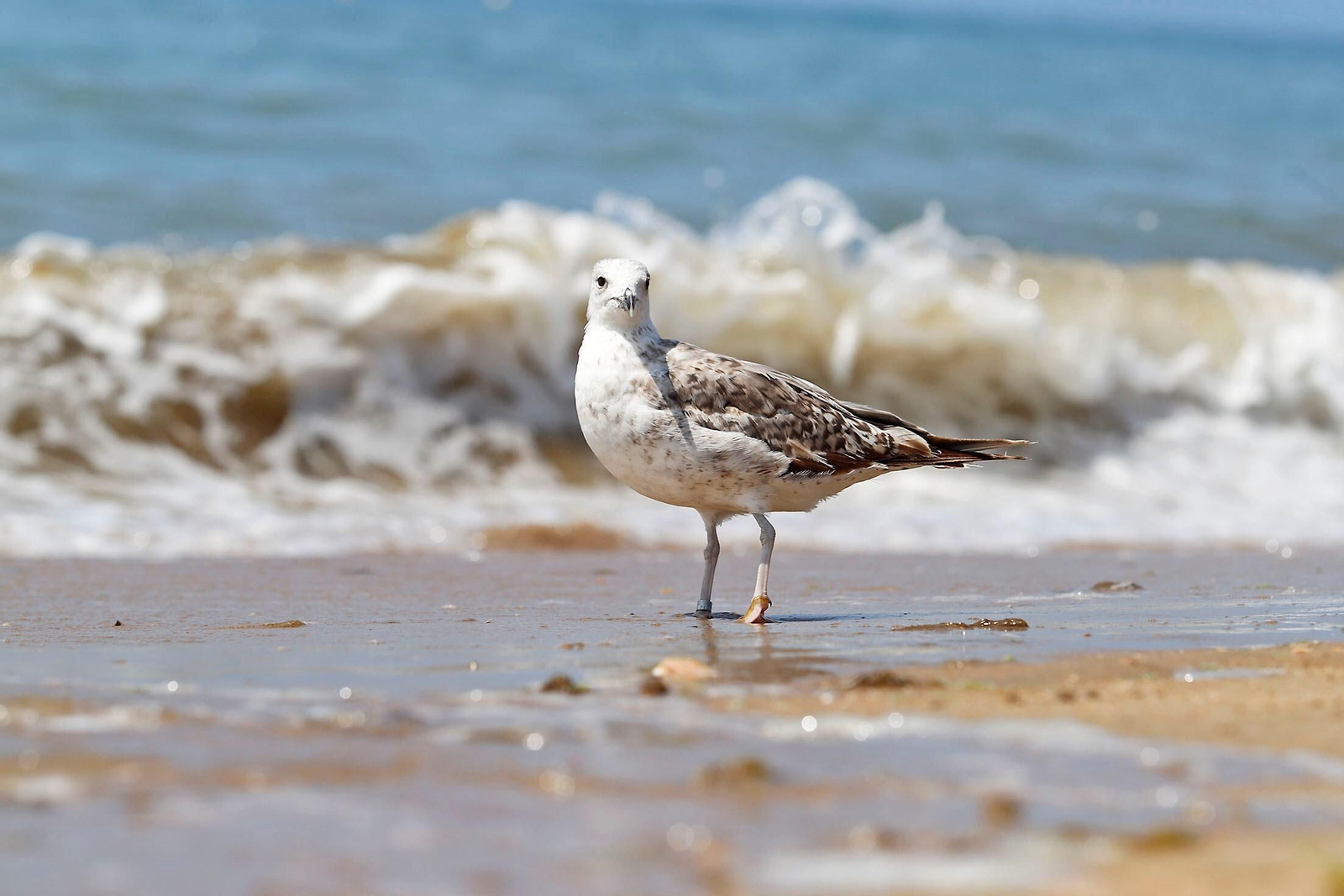 Esta es la playa más bonita de Huelva, según la revista ¡HOLA!