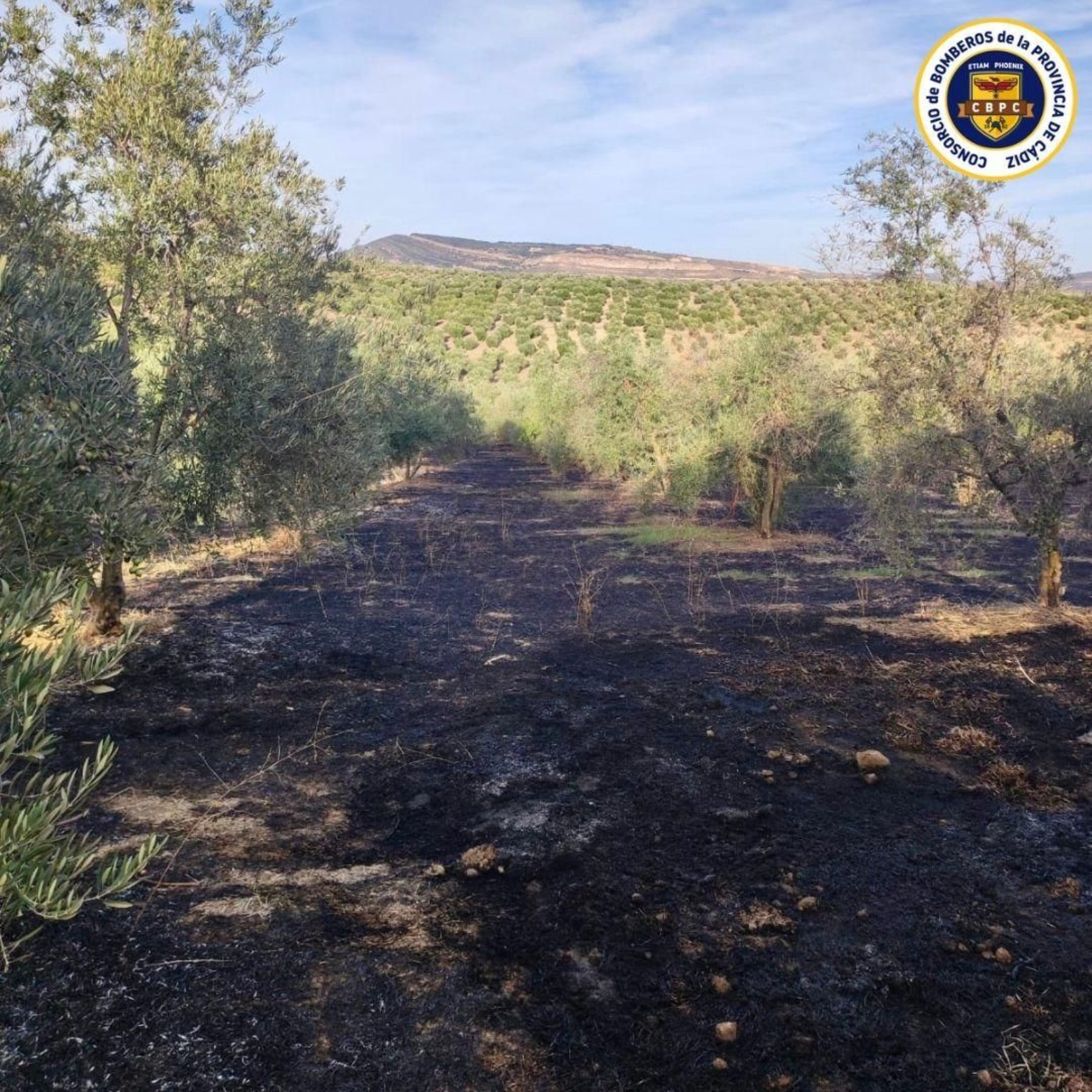 El cuerpo fue localizado en esta zona de una finca en Torre Alháquime.