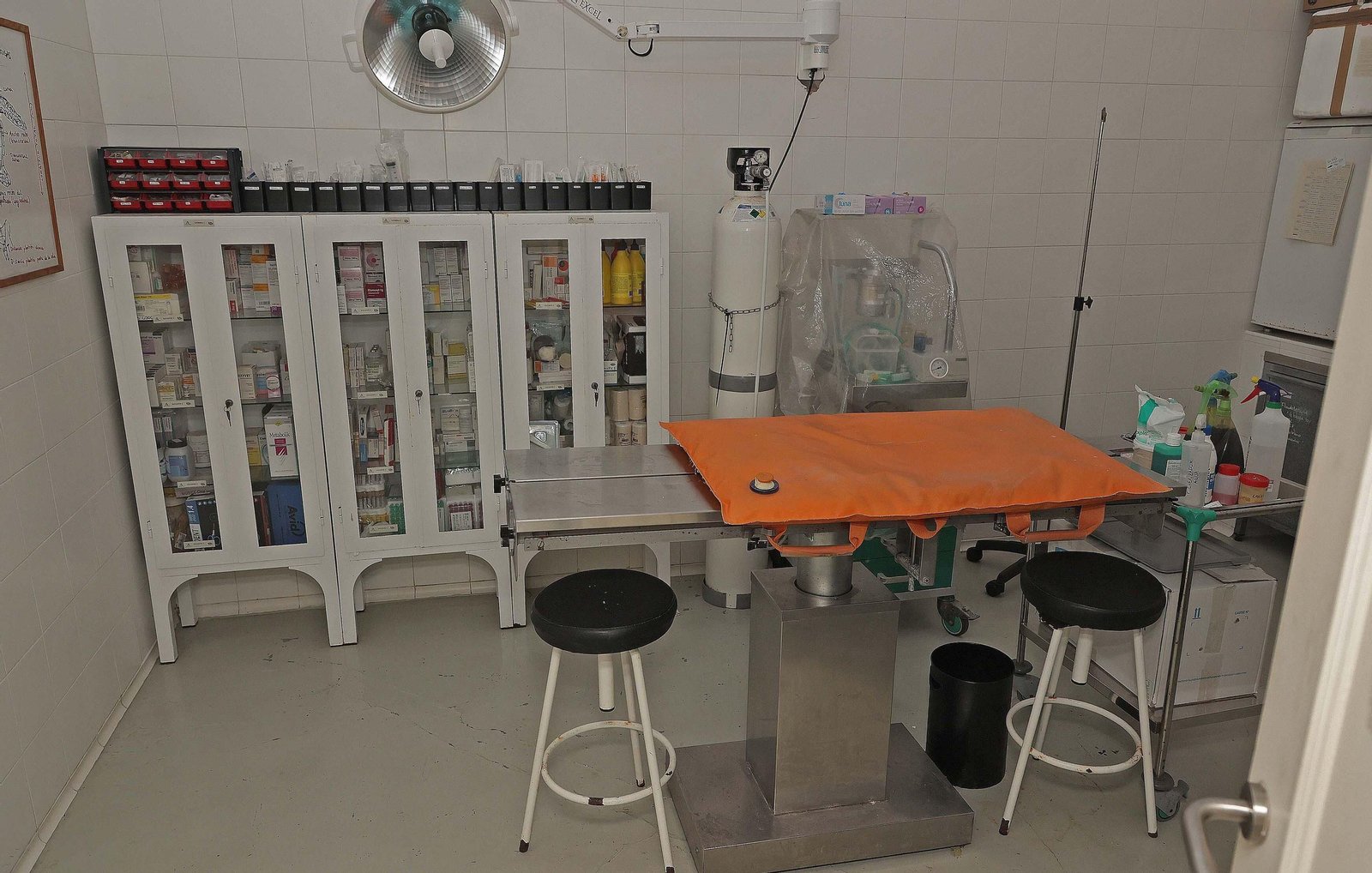 El Centro de Gestión del Medio Marino Andaluz (CEGMA) de Algeciras, en imágenes