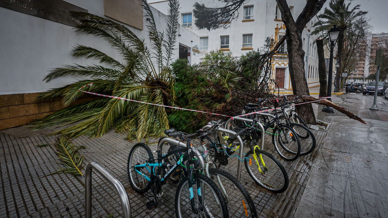 Imágenes de las incidencias y destrozos provocados por la borrasca Kristin en Cádiz