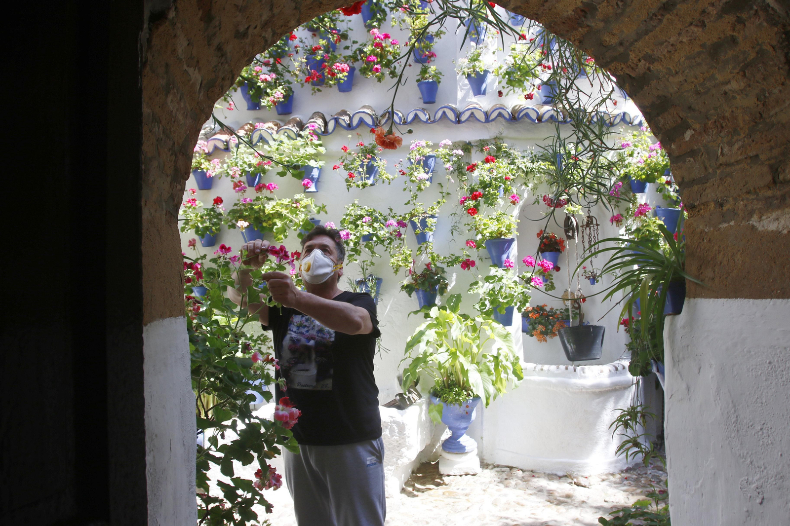 Las fotos de los Patios de Córdoba en tiempos de crisis: Postrera, 28