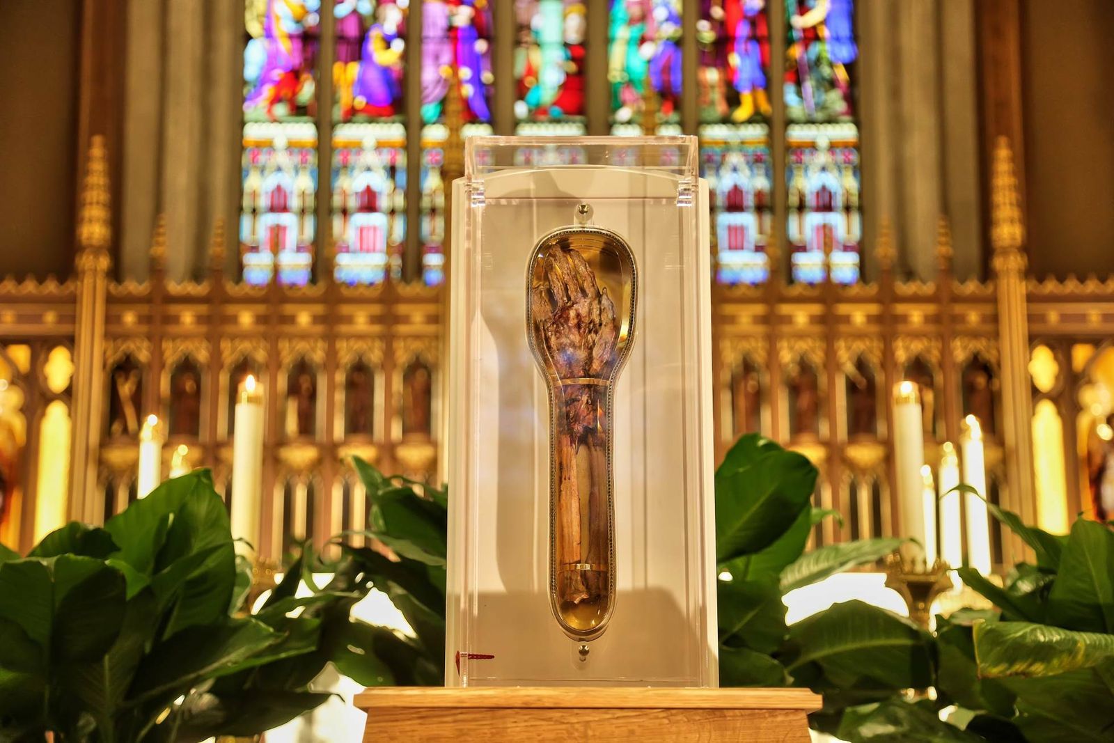 El brazo de San Francisco Javier  en Granada