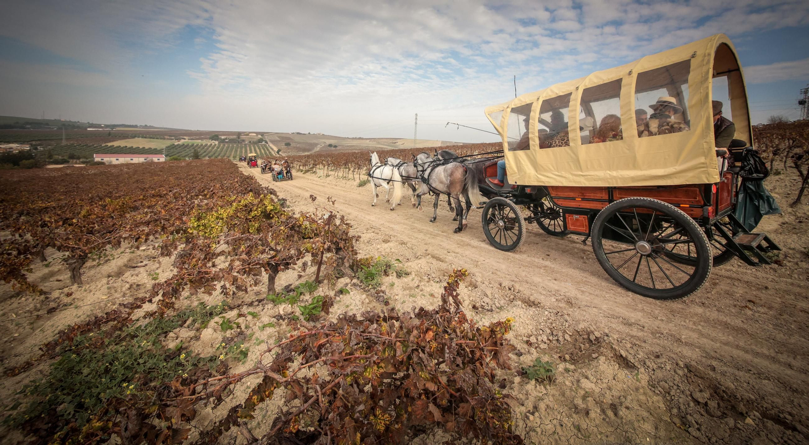 Búscate en la III Ruta Viñas de Jerez de Enganches