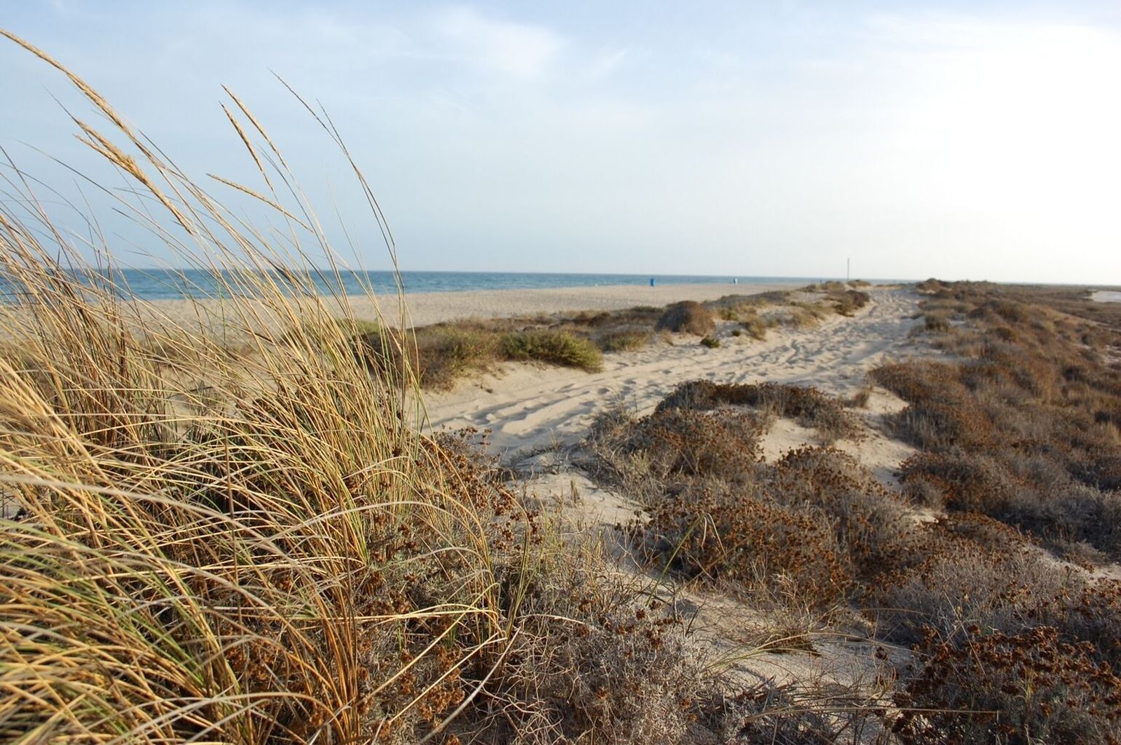 Vista del paraje de Punta Entinas-Sabinar.