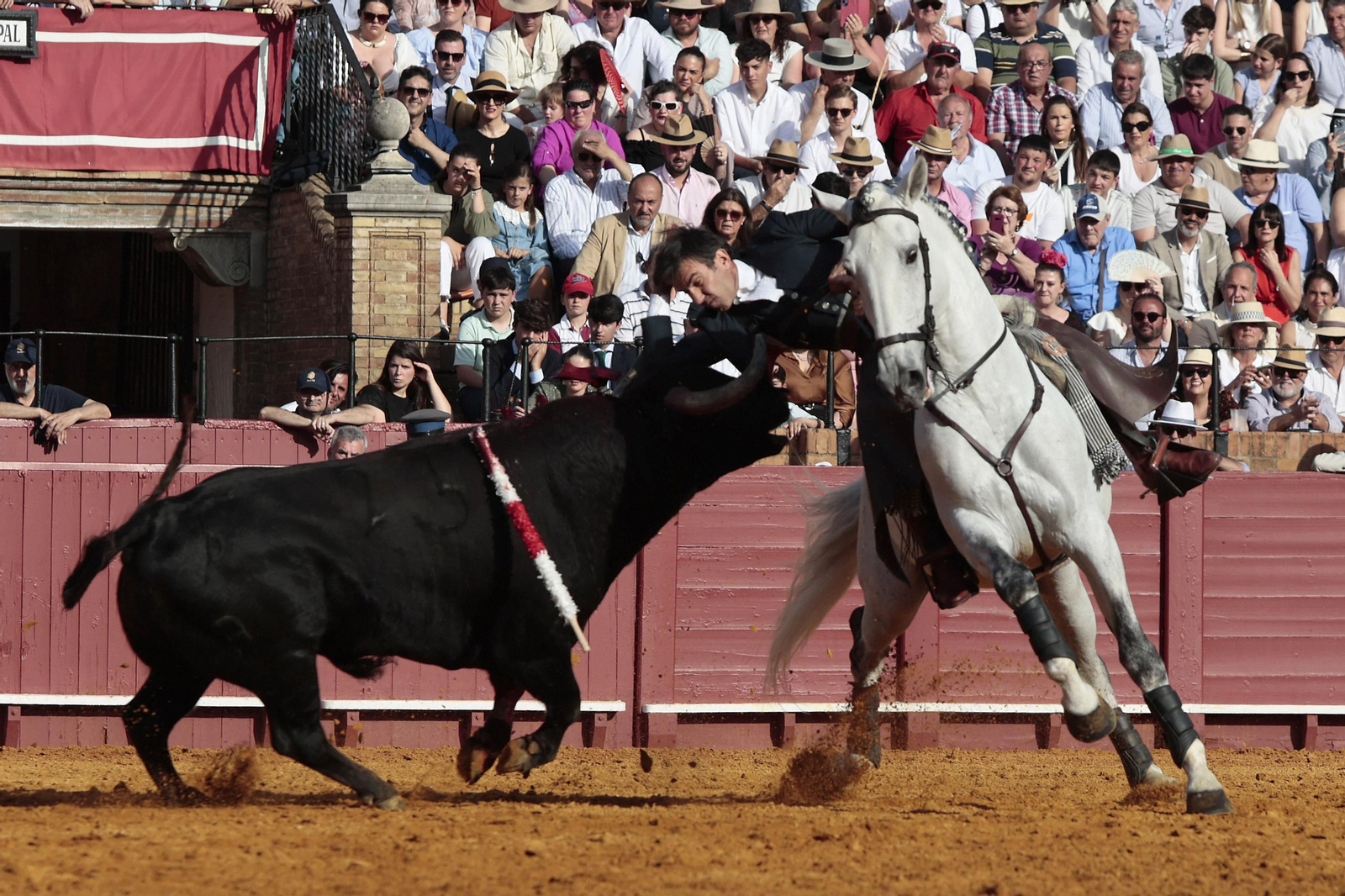 Las imágenes de la corrida de rejones