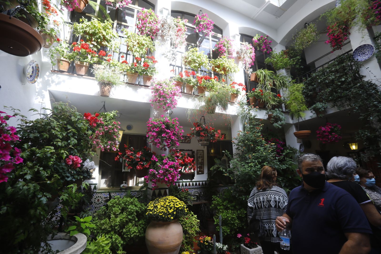 Las fotografías del primer día de apertura de los Patios de Córdoba en otoño