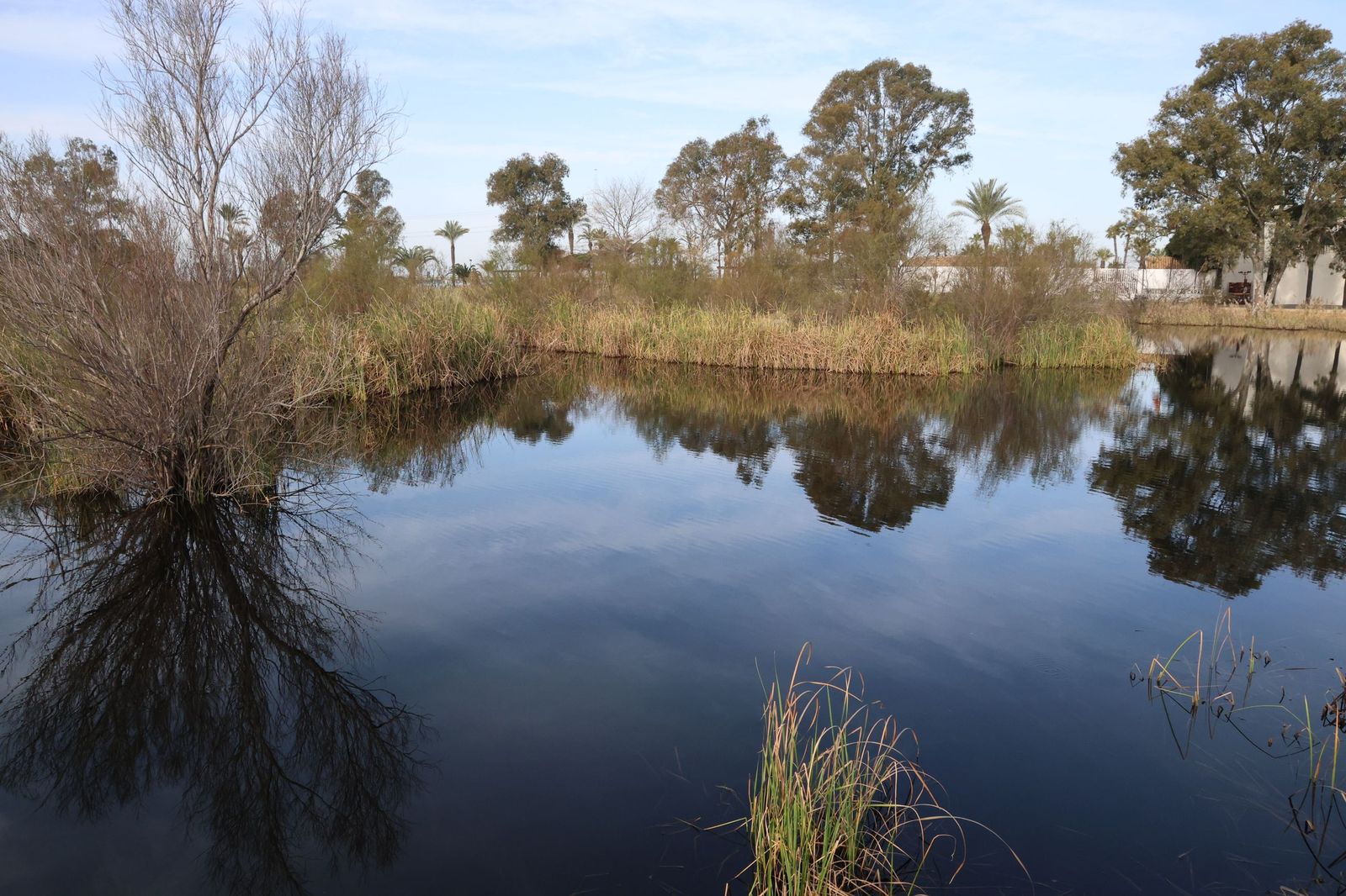 Moeve clausura las actividades del Día Mundial de los Humedales.