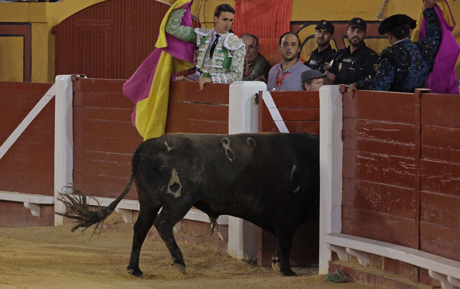 David Gal�n, segundo toro (2).jpg