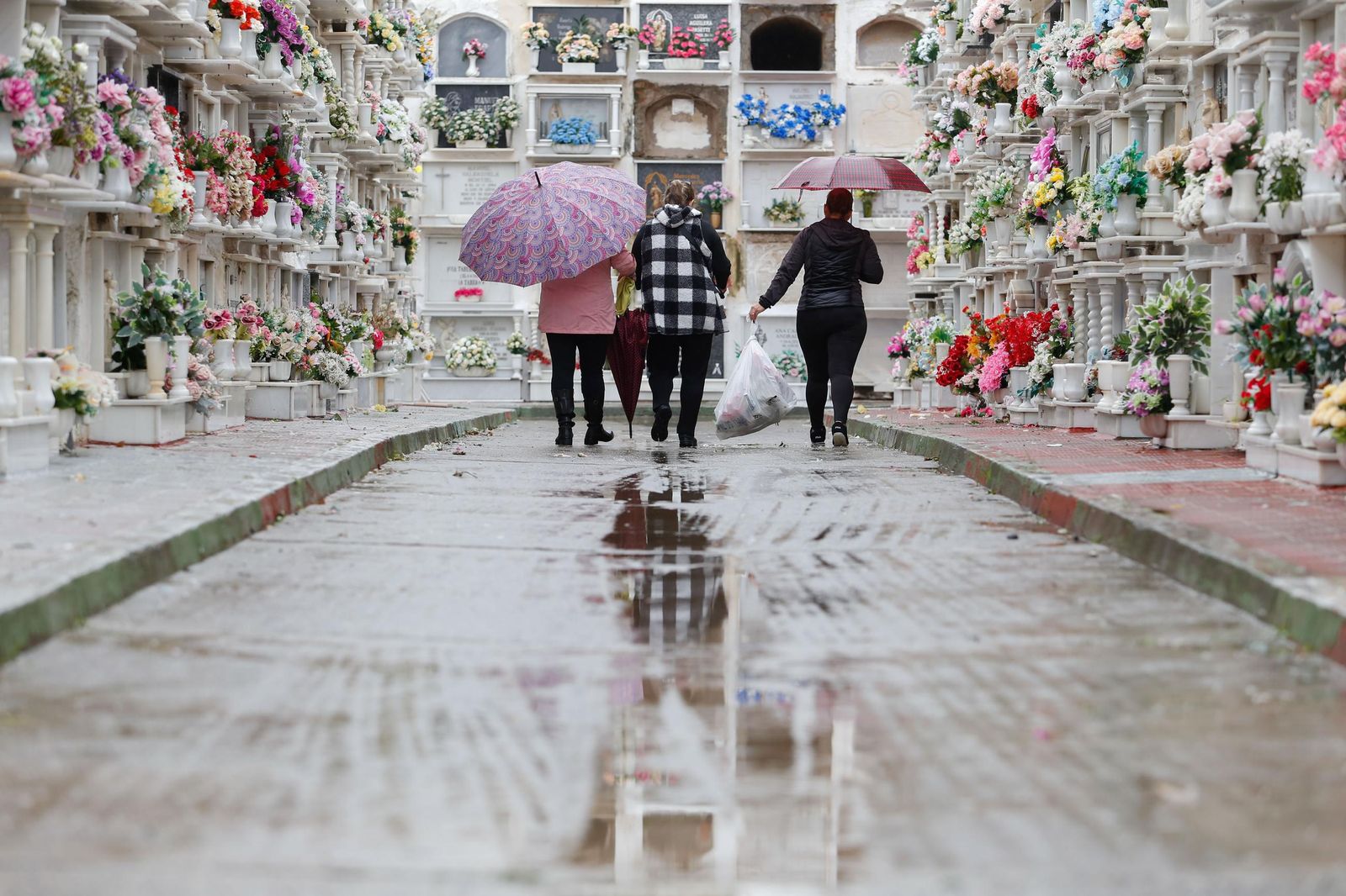 Fotos de los preparativos en el cementerio de La Línea por el Día de Todos los Santos
